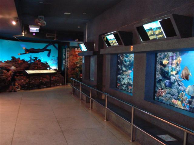 DSC02279 (Small).JPG